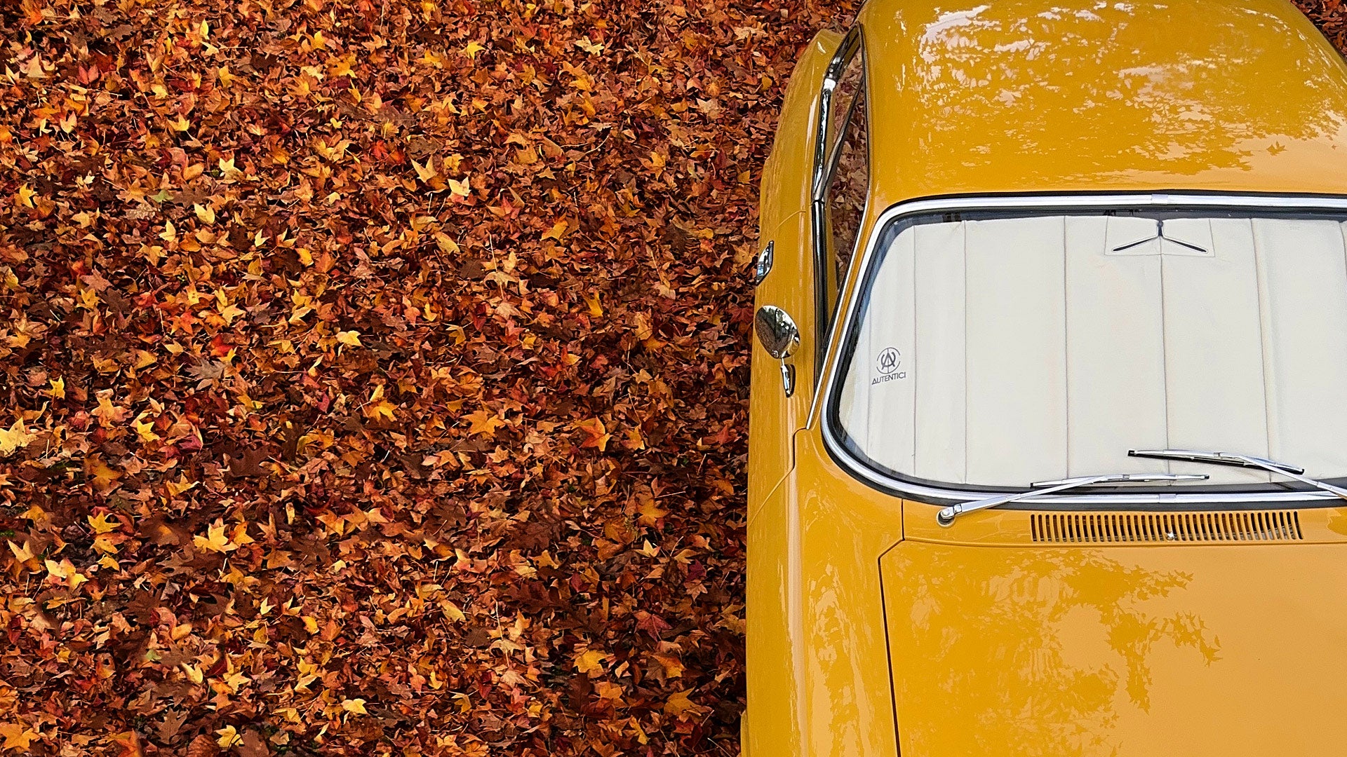 Top view of a yellow classic car fitted with a premium Autentici sunshade, surrounded by vibrant autumn leaves, showcasing elegance and seasonal ambiance. Autentici sun shade for car windshield. Protetor solar para para-brisas de automóvel clássico.
